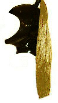 latex ponytail hood